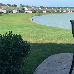 Meet your Posher, Janet